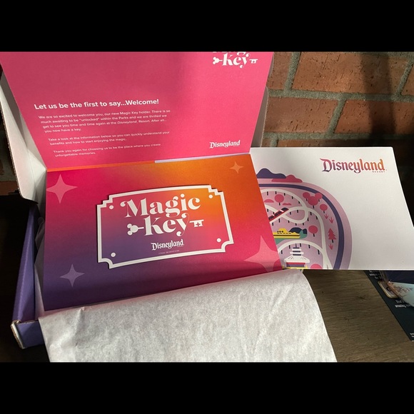 NWB Disneyland Magic Key Exclusive Promo Box - Picture 2 of 5